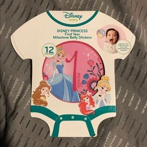 🎉HP🎉BNFS Disney Princess Milestone Stickers
